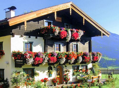 Brotzeitalm Apartment Pfarrwerfen Exterior photo
